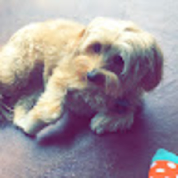 sammychoisells